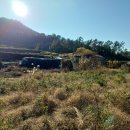 내산보건진료소 이미지