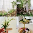 용산-현장-2266 | 앨리스몽드 서울밝은홀 스몰웨딩 상담 후기