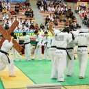 희망태권도체육관 이미지