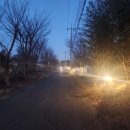 바다날개 | 충남 당진 여행 1일차 | 랜덤으로 떠난 당진 여행 | 해어름 카페, 큐비스트 호텔, 오리꽃날개 솔직 후기