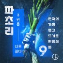 대구에도 조국혁신당의 바람이 강하게 불어오9 이미지