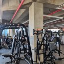 알짐 리커버리 이미지