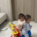 종로-신영-종로-영-123 | 1월 일상, 행복의 사바나 이론