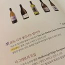 오늘 와인한잔 평택고덕가든점