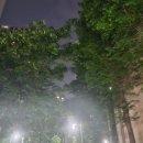 긱스피자&유캔두잇 | 새로운 마음가짐