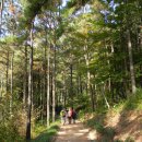 전남대학교병원1동부속건물 | 화순 만연산, 만연산 오감연결길, 만연사 늦가을 나들이 <만연폭포, 큰재, 만연저수지>