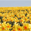 신안축구장 축구장 이미지