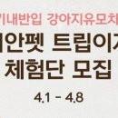댕댕이 펫카 이미지