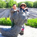 대왕농장2 이미지