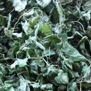 100-1-000049 이미지