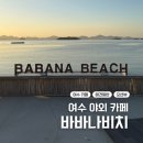 여수비치 | 여수 애견동반 야외 카페 바나나비치 ｜ 일몰 맛집 다녀온 후기