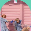 도리토리 이미지