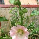 이재홍내과의원 이미지