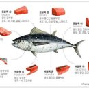 복남참치 이미지
