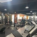 머슬시티 이미지