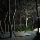 강현 | 강원도 | 양양 솔바다 캠핑장 2박3일 커플 캠핑 내돈내산 솔직후기