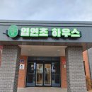 엽연초하우스 | 제천 게스트하우스 엽연초 하우스. 엽연초 하우스 조식. 엽연초 카페. 내돈내산.