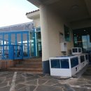 황금초밥 이미지