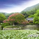 운림펜션