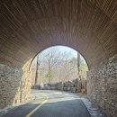 G50 | 제천 리솜 포레스트 G50 내돈내산 후기: 아이와 함께한 힐링 여행 (객실/스파 꿀팁)