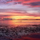 꿀맛붕어빵 이미지