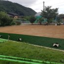 야구연습장 이미지