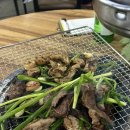 막창비어 | 대구 진해숯불막창 다녀온 솔직후기 전현무계획 절창맛집