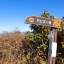 천상데미 이미지