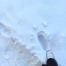 박물관 마트 | 삿포로 1일차 맥주박물관 시음 후기, 대형마트 아리오 칼디