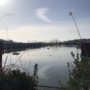 내동저수지낚시터 이미지