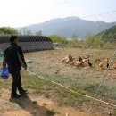 윤씨네농장 이미지