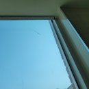 베스트 크린 이미지