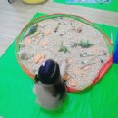 시냇가 푸른나무 유치원 이미지