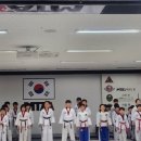 MTA코리아태권도 이미지