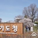 주정차단속-020 이미지