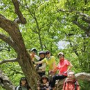 대청봉주유소 이미지