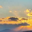 구읍뱃터 이미지