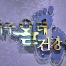 제주올레건강샵