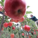 햇터농장 이미지