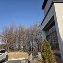 도대리카페 | 평택 도대리카페 커플 데이트 후기 | 조용하게 쉬기 좋은 카페😍