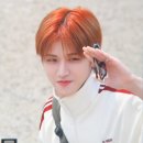 나이스가이 네이버블로그