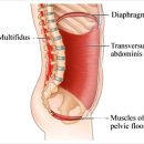 우리들척추운동센터 이미지