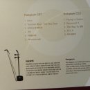 두줄의 소리(해금) 이미지