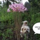 만민농장 이미지