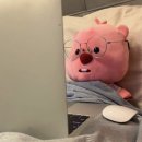 매니매니 이미지