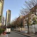 마장동 - 동구 | 마장동
