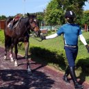 본마사동 이미지