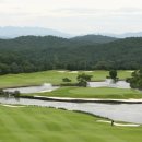 포천아도니스 C.C 이미지