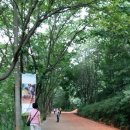 황토노래연습장 이미지