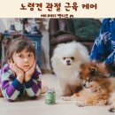 준메디케어 | 노령견 관절 근육 케어 메디퍼피 액티브 M